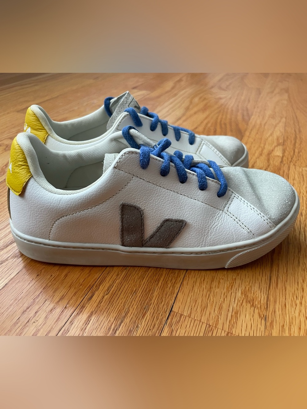 Veja White Sneakers with Gray V and Blue Laces